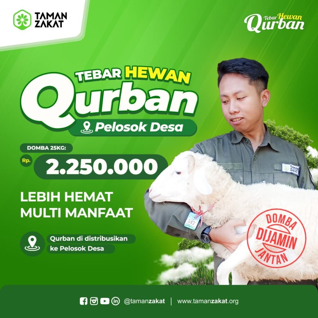 qurban domba standart